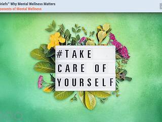 TrainingBriefs® Why Mental Wellness Matters