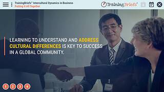 TrainingBriefs® Intercultural Dynamics in Business