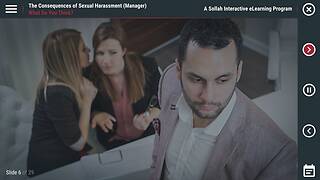 The Consequences of <mark>Sexual Harassment</mark>™ (NY/NYC Manager)