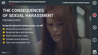 The Consequences of <mark>Sexual Harassment</mark>™ (DE Employee)